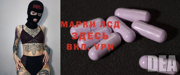 шишки Покачи