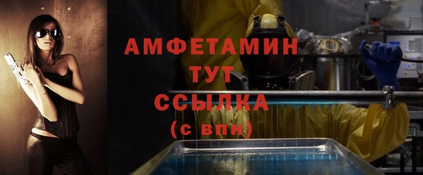 гидра Алексеевка