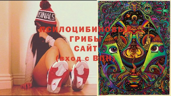 прущий лед Алексин