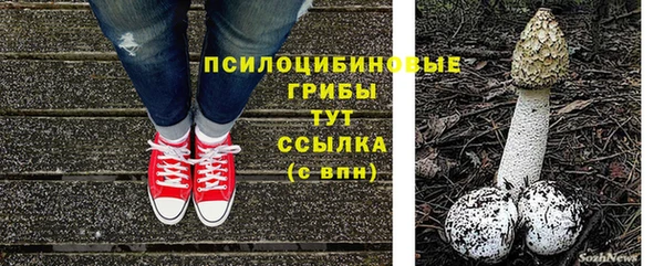 прущий лед Алексин