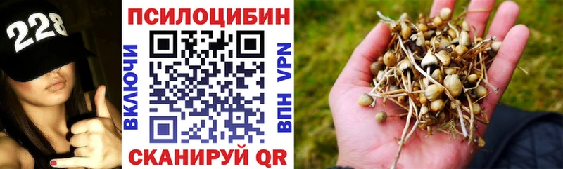 Галлюциногенные грибы MAGIC MUSHROOMS Сим